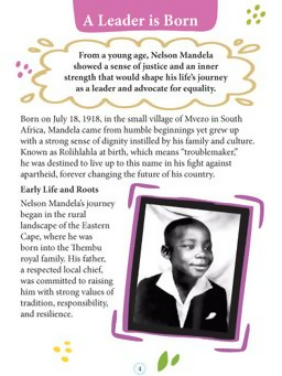 Dreamland Publications Nelson Mandela Icons of Inspiration Illustrated Biography For Kids | Grocsy