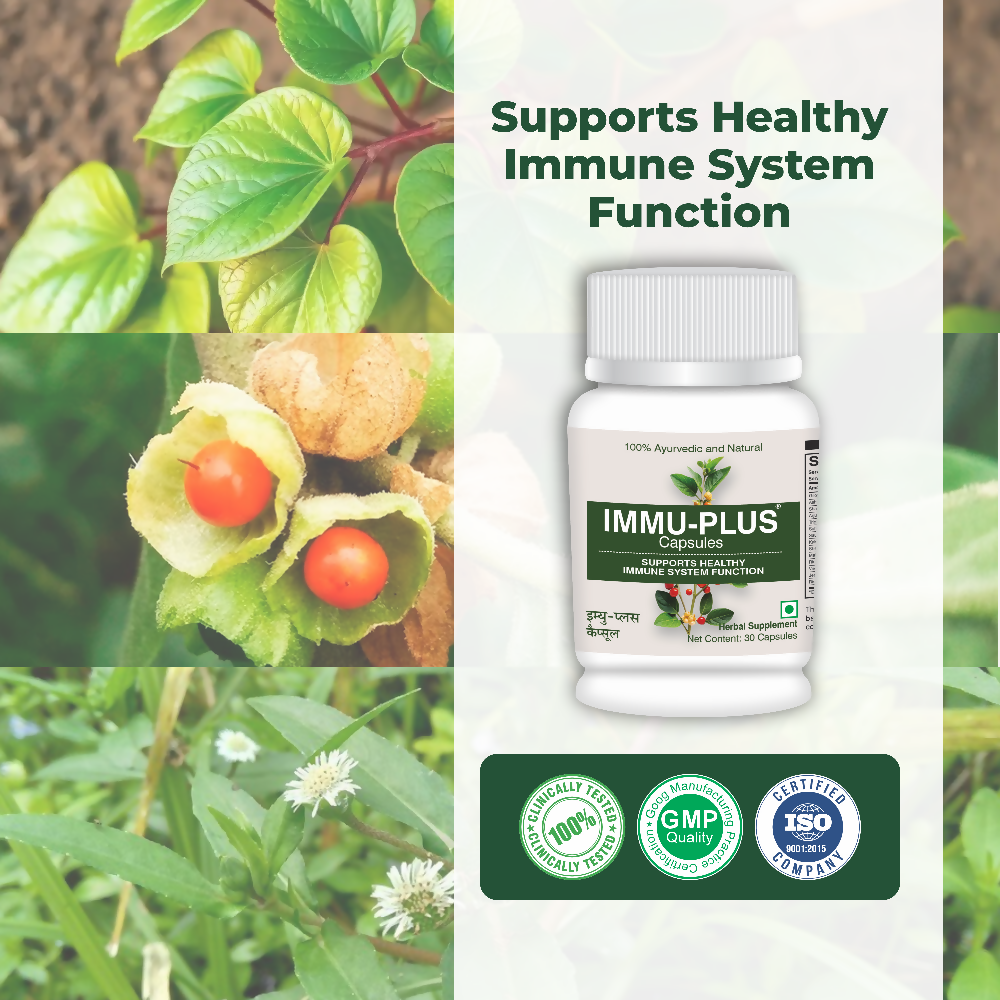 Satya Pharmaceuticals Ayurveda Immu Plus Capsules | Grocsy
