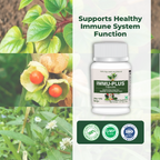 Satya Pharmaceuticals Ayurveda Immu Plus Capsules | Grocsy