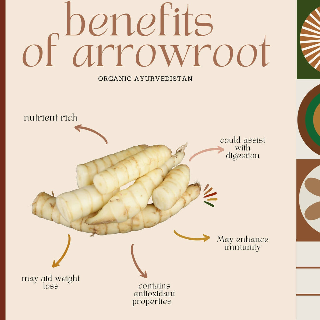 Organic AyurveGrocsyn Arrow Root Powder | Grocsy