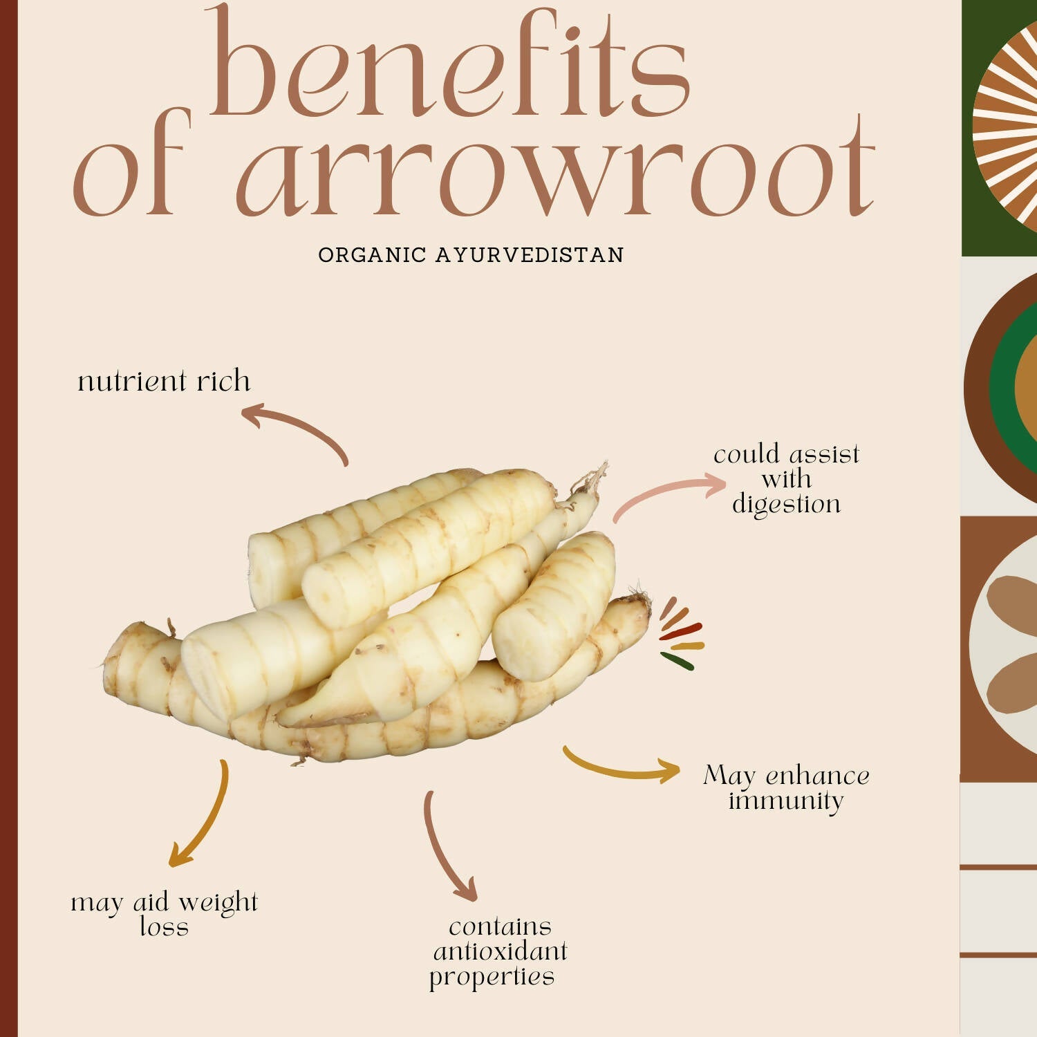 Organic AyurveGrocsyn Arrow Root Powder | Grocsy
