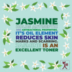Ningen Jasmine Daily Cream | Grocsy