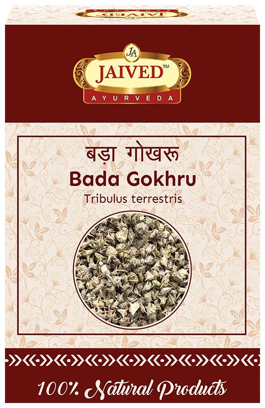 Jaived Ayurveda Bada Gokhru | Grocsy