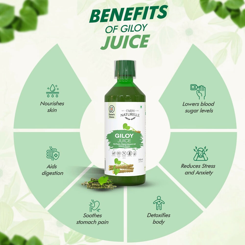 Farm Naturelle Herbal Giloy Juice | Grocsy