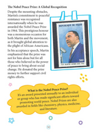 Dreamland Publications Martin Luther King Icons of Inspiration Illustrated Biography For Kids | Grocsy