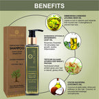 Body Gold Shampoo Clams Unruly Tangled Hair With Jojoba Rosemary & Coconut Milk | Grocsy