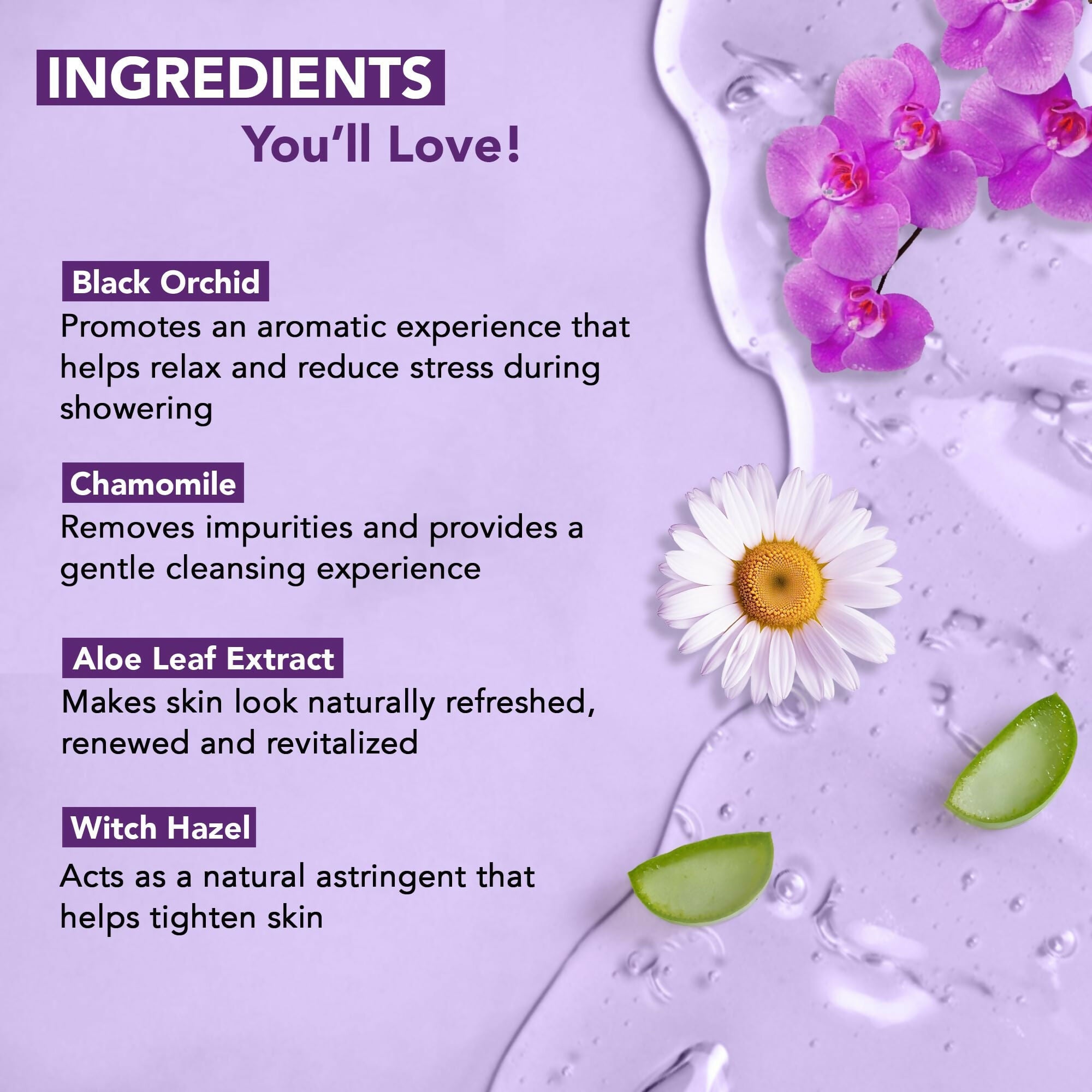Botanic Hearth Black Orchid & Chamomile Body Wash with Aloe Vera, Witch Hazel & Green Tea | Grocsy