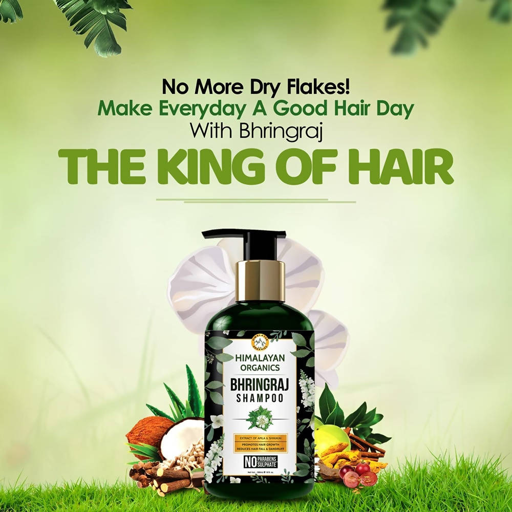 Himalayan Organics Bhringraj Shampoo | Grocsy