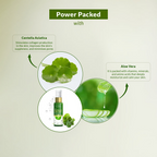 Lotus Botanicals CICA Pore Minimizing Face Toner | Grocsy