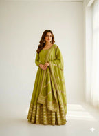 Teeya Creation Womens New Fancy Silk Heavy Quality Fabric With Handwork Light-Green Gown Set | Grocsy