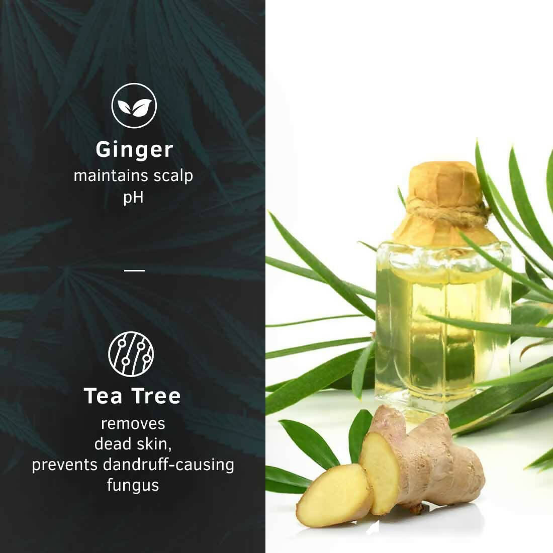 Ustraa Anti-Dandruff Hair Serum With Ginger And Tea Tree | Grocsy