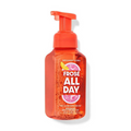 Bath & Body Works Fros & Eacute All Day Gentle & Clean Foaming Hand Soap | Grocsy