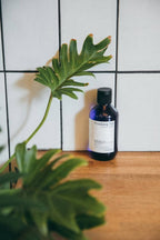Pyunkang Yul Essence Toner | Grocsy
