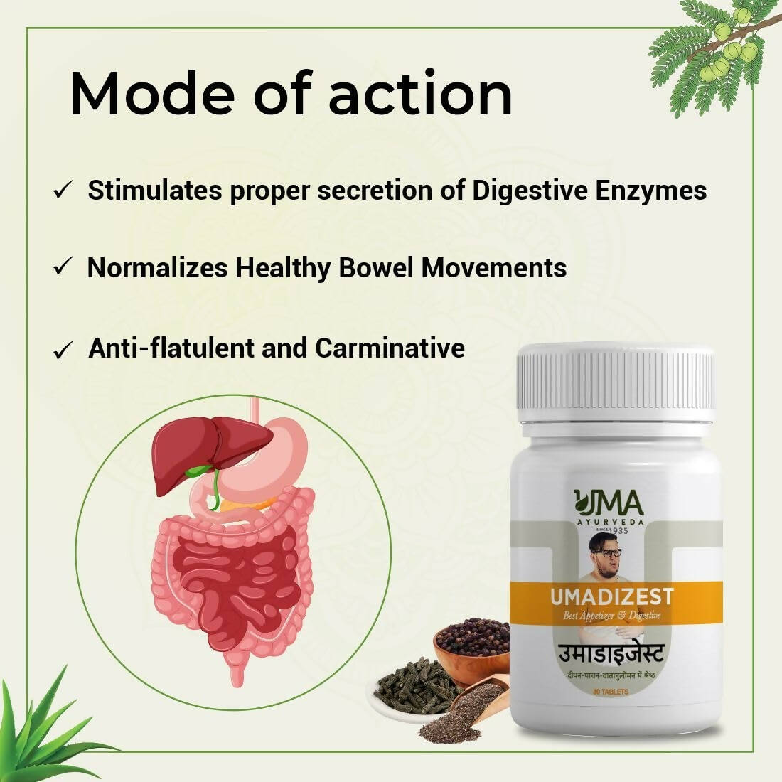 Uma Ayurveda Umadizest Gastric Medicine Ayurvedic Tablets | Grocsy