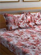 BOMBAY DYEING Serenita Brown Printed Cotton 144 TC Queen Bedsheet with 2 Pillow Covers | Grocsy