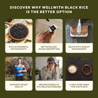 Wellwith Chak-Hao Black Rice | Grocsy