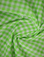 Light Green With Checks Pure Mangalgiri Cotton Saree By Gayathri Reddy Designer Studio | Grocsy
