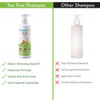 Mamaearth Tea Tree Shampoo & Onion Hair Oil | Grocsy
