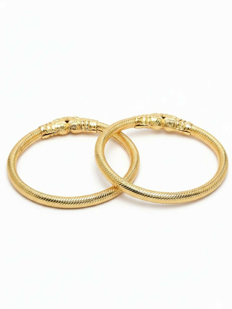NVR Women Set of 2 Gold Plated Traditional Kada Bangle | Grocsy