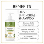 Nuerma Science Keratin Repair Natural Hairfall Control Olive Bhringraj Shampoo | Grocsy