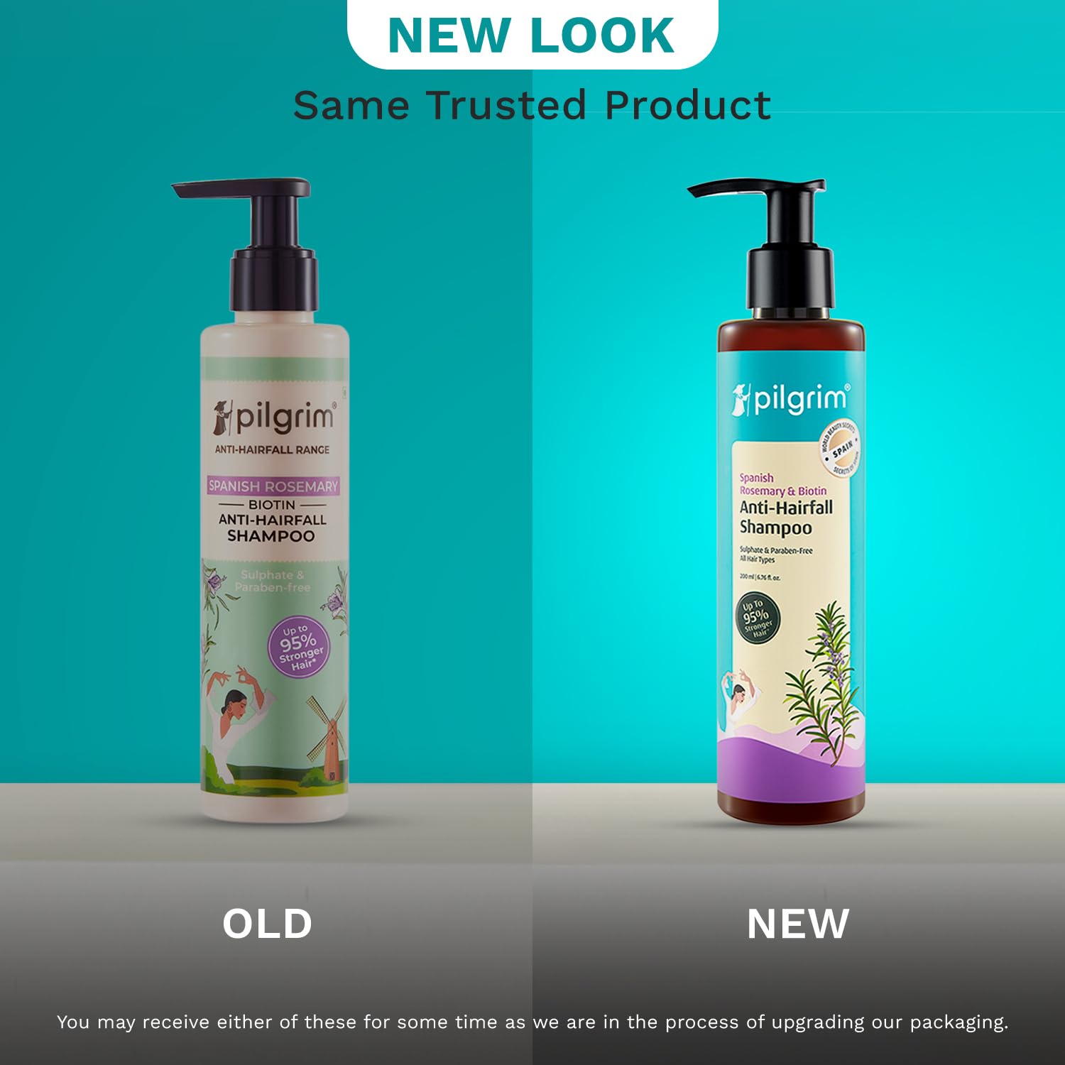 Pilgrim Spanish Rosemary Anti-Hairfall Shampoo (GTM) | Grocsy