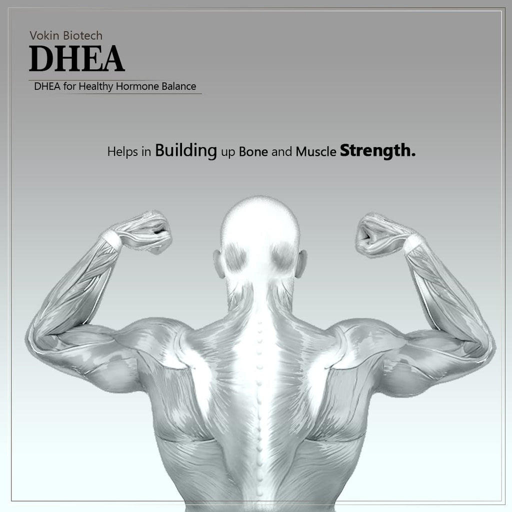 Vokin Biotech DHEA 50mg | Supports Healthy Mood | | Grocsy
