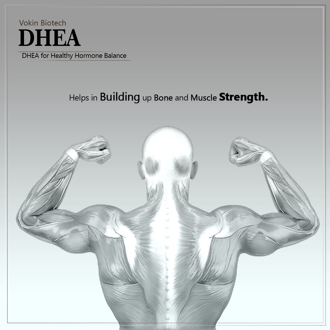 Vokin Biotech DHEA 50mg | Supports Healthy Mood | | Grocsy