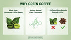 Vokin Biotech Organic Green Coffee Beans Unroasted Arabica Coffee Supports Weight Loss Management | Grocsy