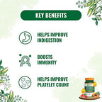 Pure Nutrition Papaya Leaf & Fruit Extract Veg Capsules | Grocsy