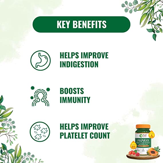 Pure Nutrition Papaya Leaf & Fruit Extract Veg Capsules | Grocsy