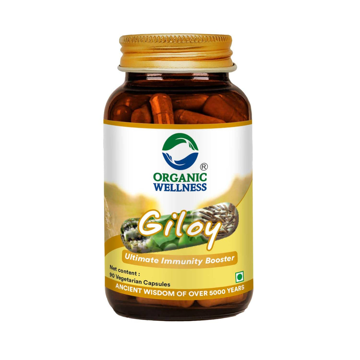 Organic Wellness Giloy Capsules | Grocsy