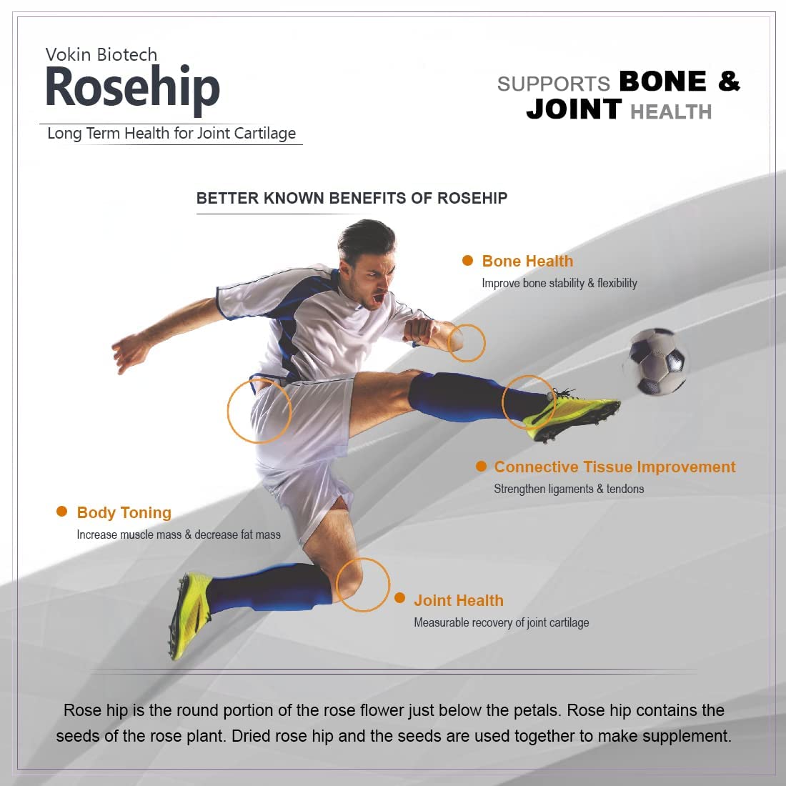 Vokin Biotech Rosehip Extract, Support Bone & Joint Health, Capsules (500mg) | Grocsy