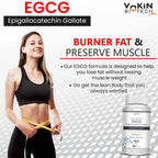 Vokin Biotech EGCG from Green Tea Leaf Extract 500mg EGCG - Antioxidant Support | Grocsy