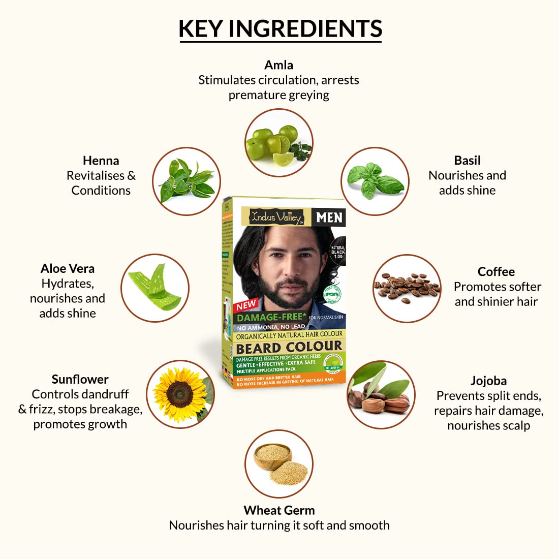 Indus Valley Natural Damage Free Men Mustache & Beard Color for Gray Hair Black | Grocsy