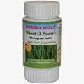 Herbal Hills Ayurveda Wheatgrass Tablets | Grocsy