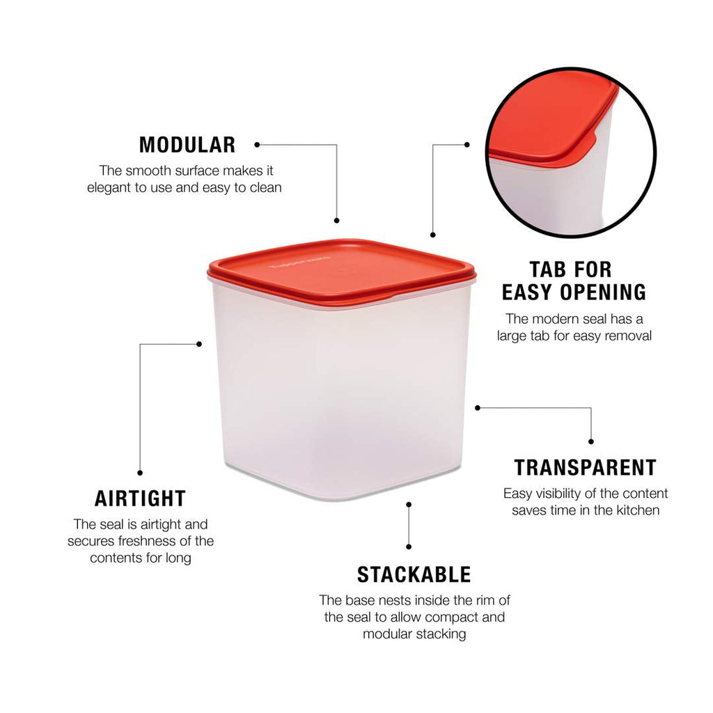Tupperware Plastic Dry Storage Smart Storer #3 3.9l 1pc, Multicolor | Grocsy