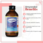 Aimil Ayurvedic Amycordial Syrup | Grocsy
