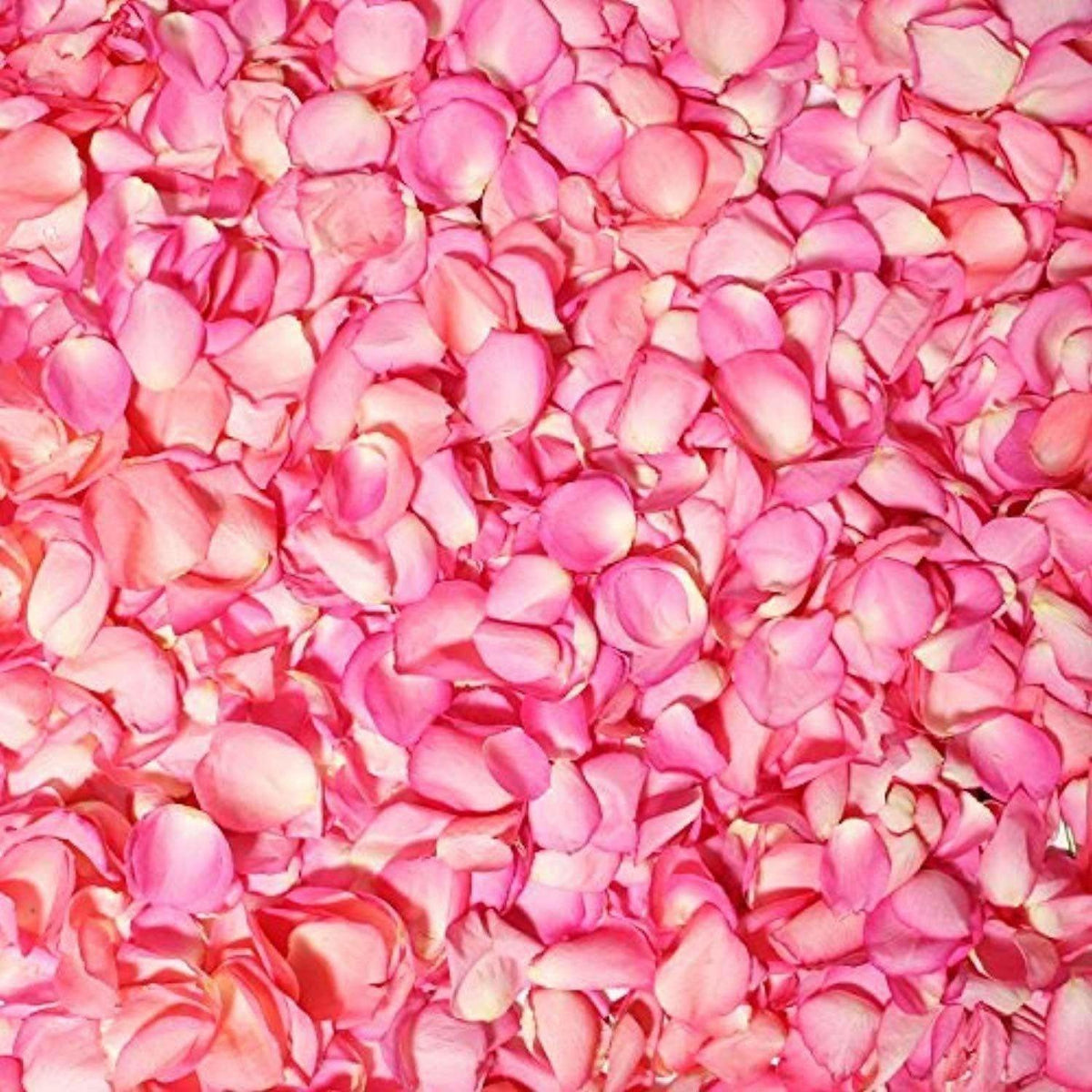 Mesmara Herbal Rose petal powder 75g | Grocsy