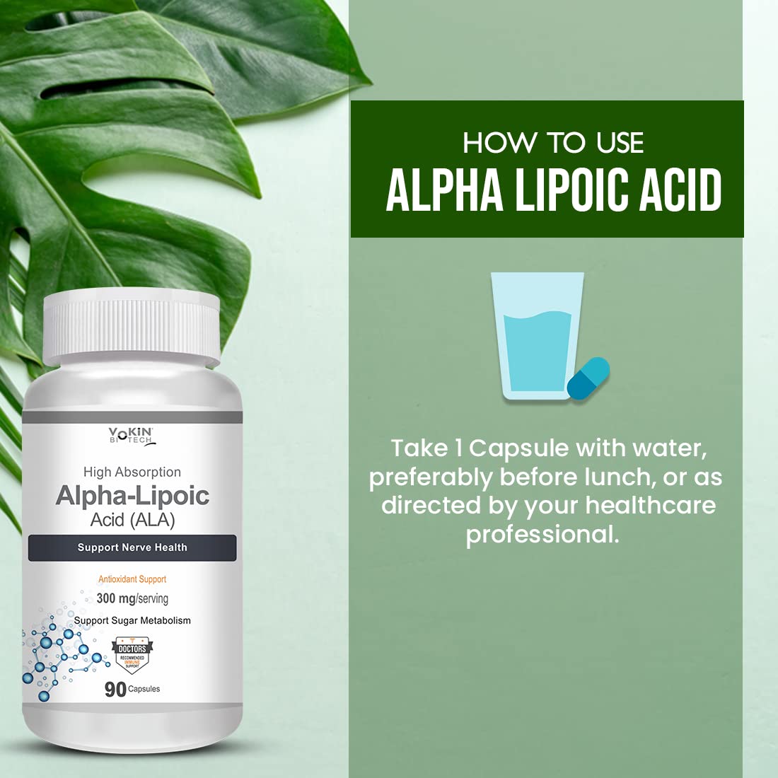 Vokin Biotech Alpha Lipoic Acid (ALA) 300 mg- Support Nerve Health & Sugar Metabolism) | Grocsy
