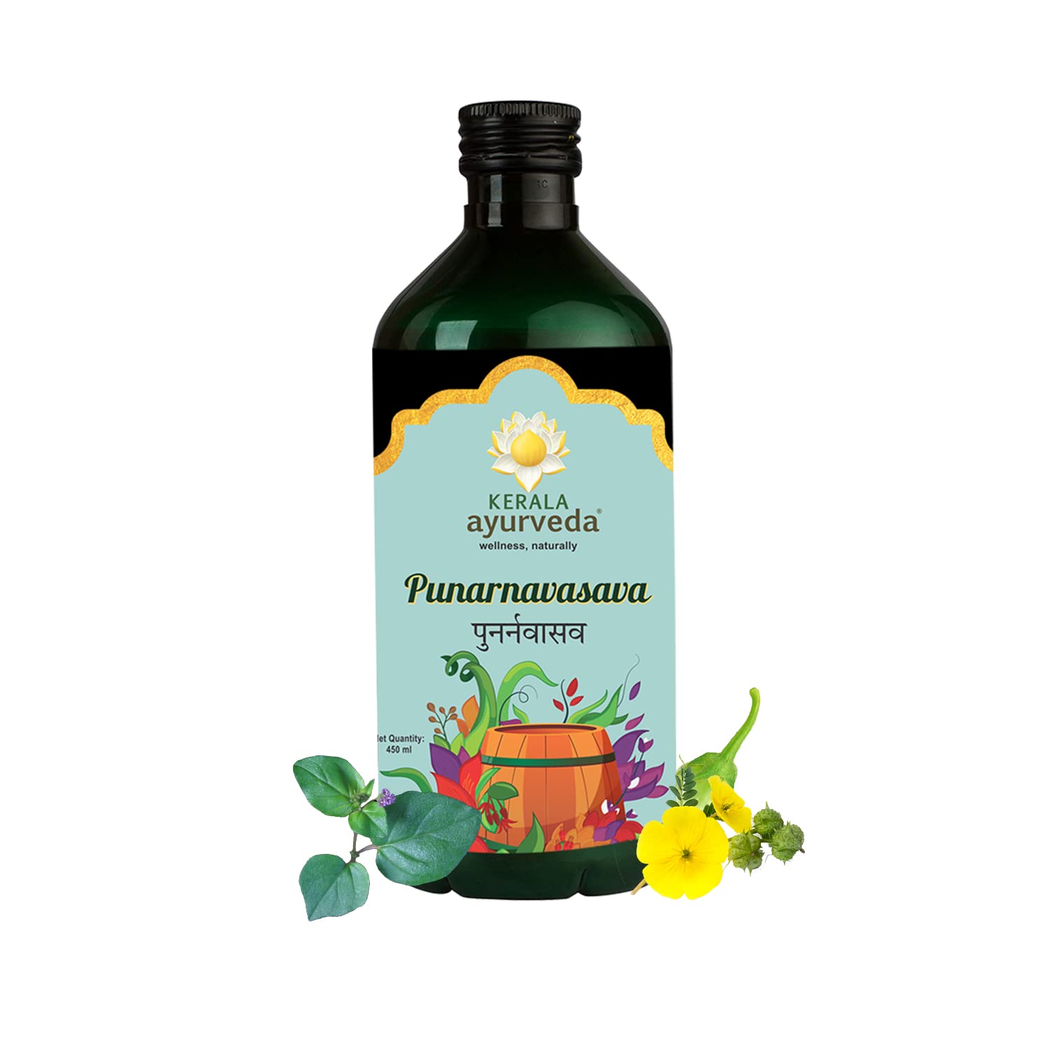 Kerala Ayurveda Punarnavasavam | Grocsy