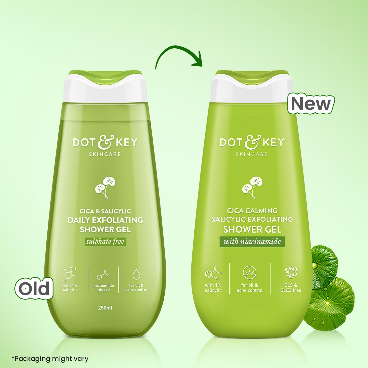 Dot & Key Cica & Salicylic Daily Exfoliating Shower Gel | Grocsy