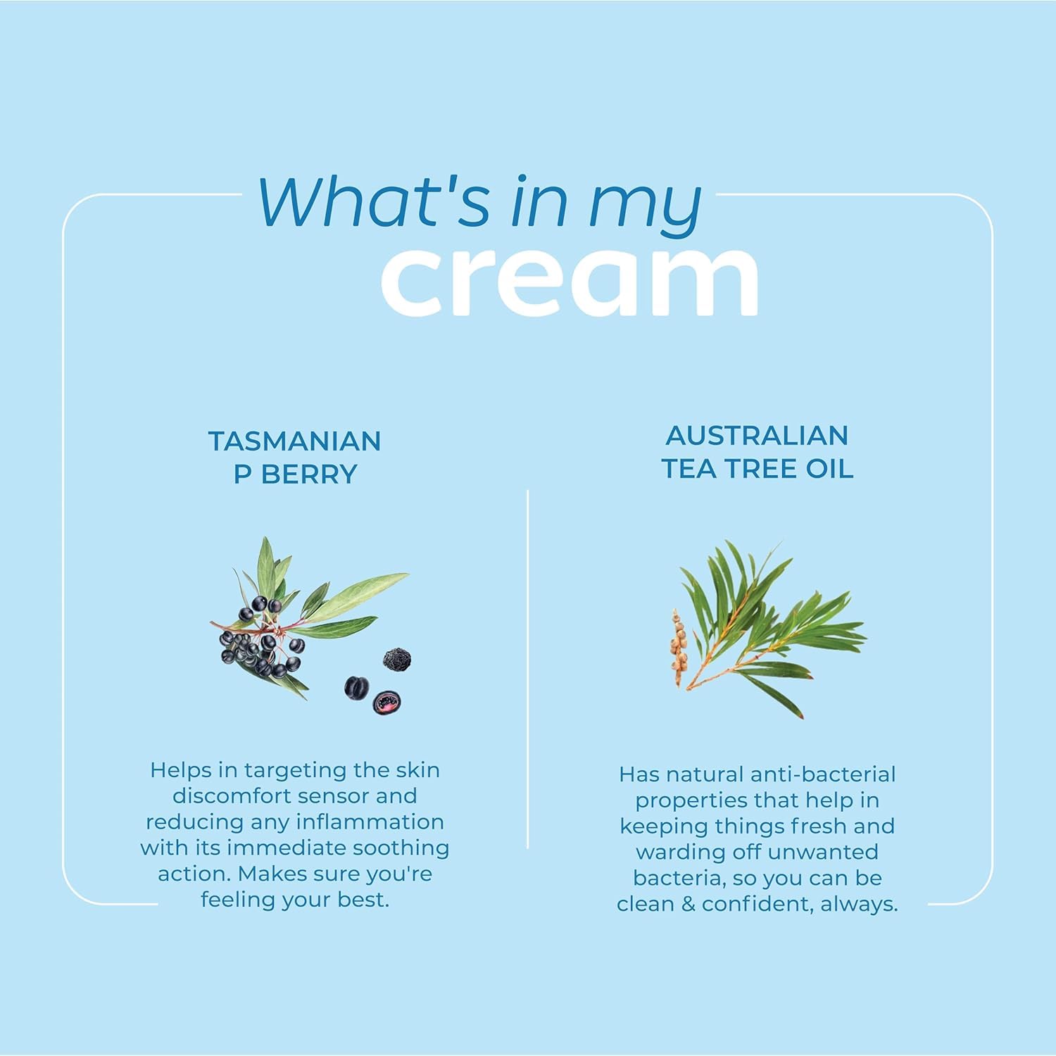 Arth Intimate Care Cream | Grocsy