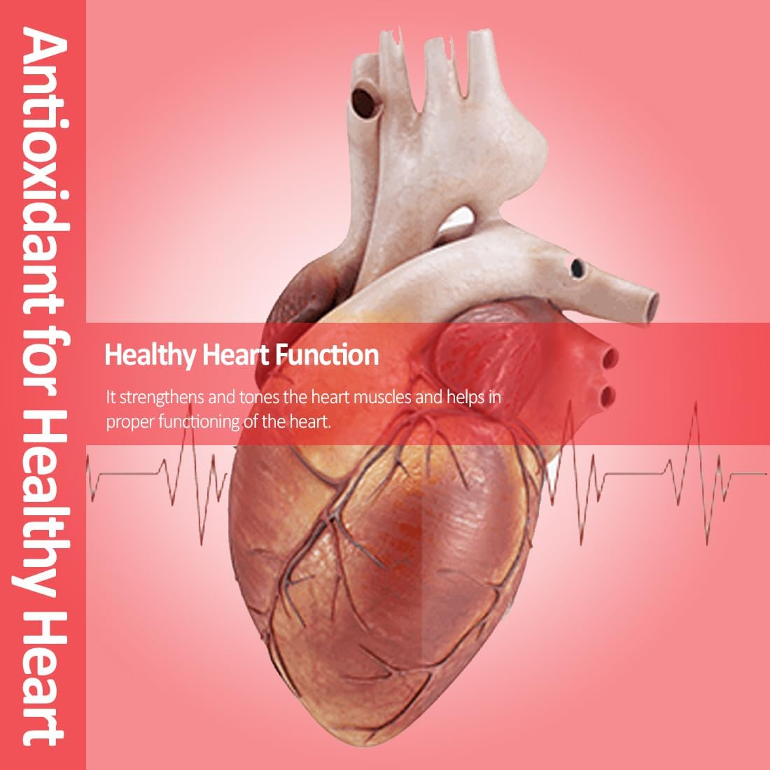 Vokin Biotech Natural Cardiovax Tablets | Grocsy
