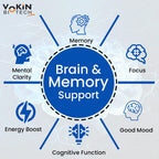 Vokin Biotech Cognitivix -Unique Brain activation Ginkgo Biloba With Ginseng extract Veg capsule | Grocsy