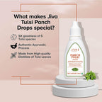 Jiva Ayurveda Tulsi Drops | Grocsy