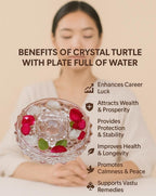 SAUDEEP INDIA Vastu Feng Shui Crystal Turtle Tortoise with Plate | Grocsy