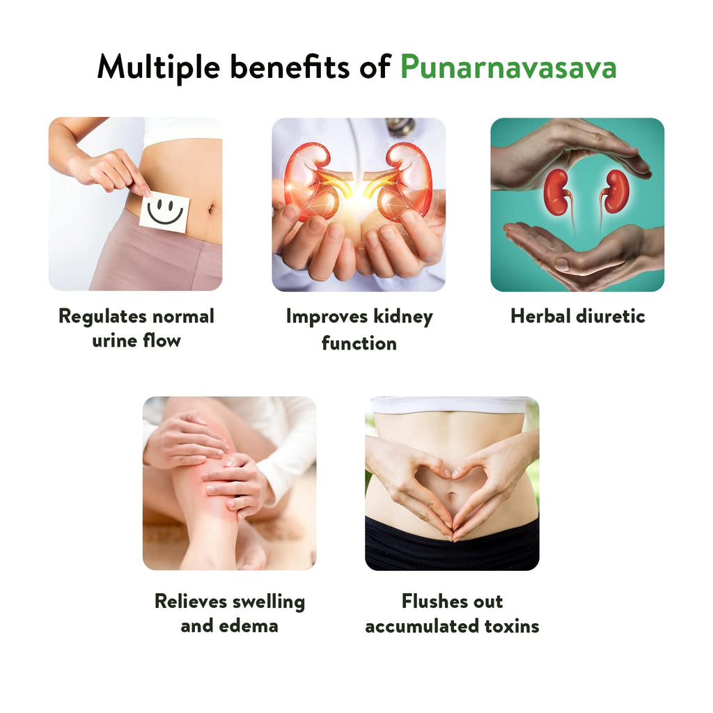 Kerala Ayurveda Punarnavasavam | Grocsy