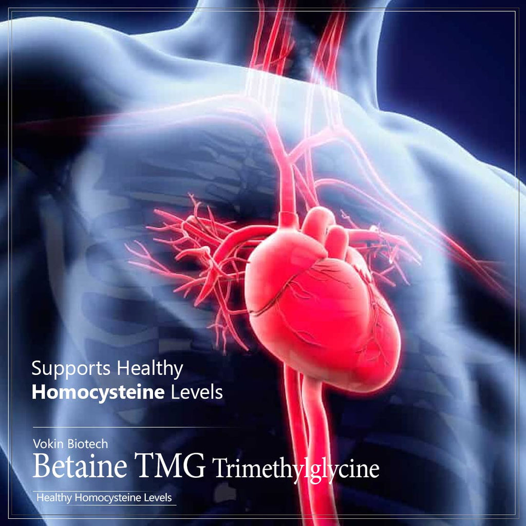 Vokin Biotech Betaine Trimethylglycine (TMG) for Support Healthy Homocysteine Levels | Grocsy