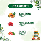 Pure Nutrition Papaya Leaf & Fruit Extract Veg Capsules | Grocsy
