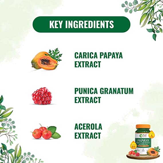 Pure Nutrition Papaya Leaf & Fruit Extract Veg Capsules | Grocsy